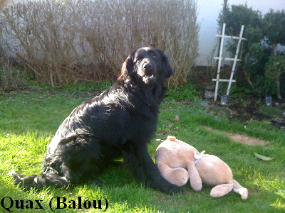 Balou_0039